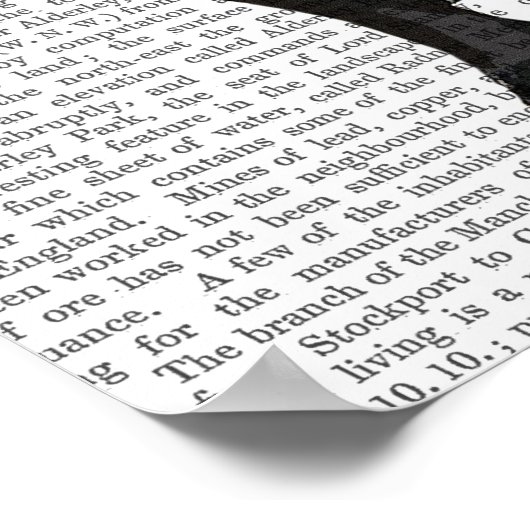 Boston Terrier met rood Stropdas en snor Poster (Hoek)