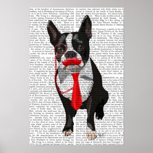 Boston Terrier met rood Stropdas en snor Poster (Voorkant)
