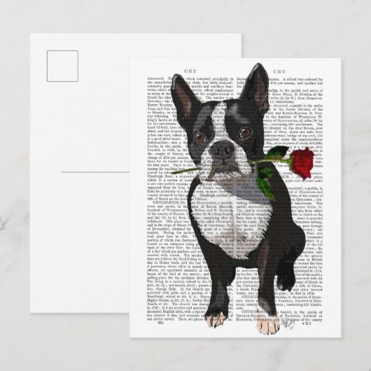 Boston Terrier met Roos in Mouth Briefkaart (Voorkant / Achterkant)