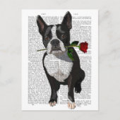 Boston Terrier met Roos in Mouth Briefkaart (Voorkant)