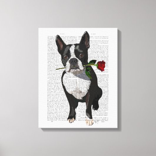 Boston Terrier met Roos in Mouth Canvas Afdruk (Voorkant)