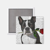 Boston Terrier met Roos in Mouth Magneet (Voorkant / Achterkant)