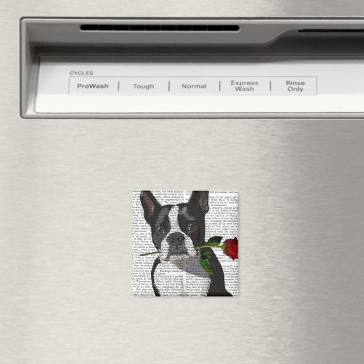 Boston Terrier met Roos in Mouth Magneet (Insitu (Vaatwasser))