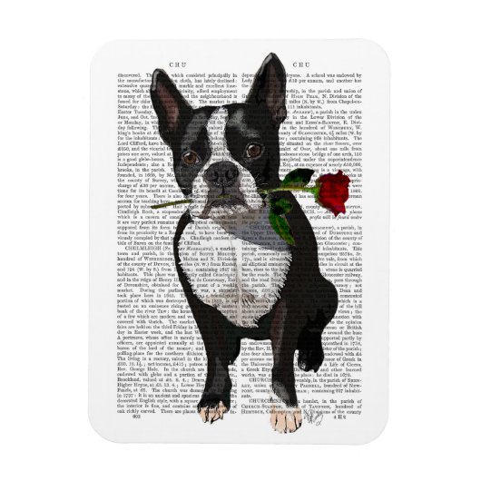 Boston Terrier met Roos in Mouth Magneet (Verticaal)