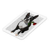 Boston Terrier met Roos in Mouth Magneet (Linkerzijde)