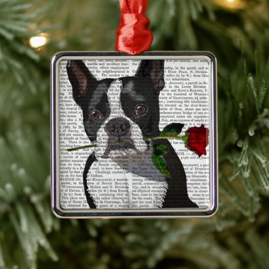 Boston Terrier met Roos in Mouth Metalen Ornament (Boom)