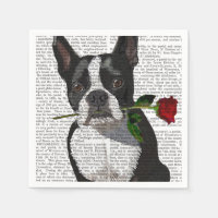 Boston Terrier met Roos in Mouth
