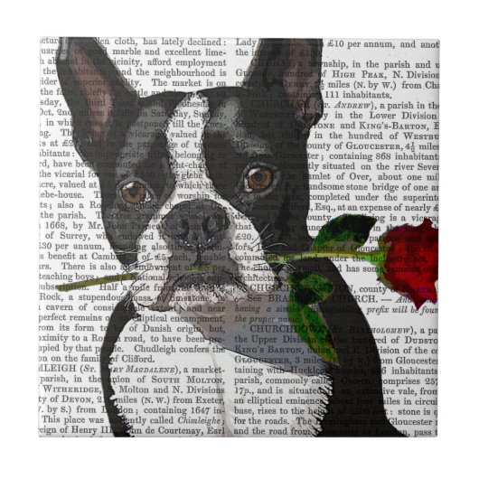Boston Terrier met Roos in Mouth Tegeltje (Voorkant)