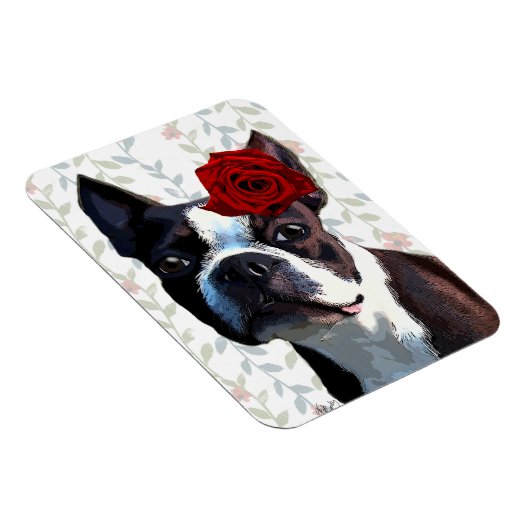 Boston Terrier met Roos op hoofd 2 Magneet (Rechterzijde)