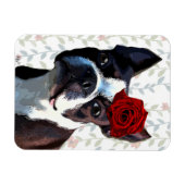 Boston Terrier met Roos op hoofd 2 Magneet (Horizontaal)