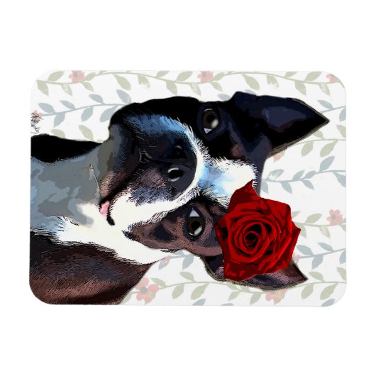 Boston Terrier met Roos op hoofd 2 Magneet (Horizontaal)
