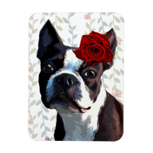 Boston Terrier met Roos op hoofd 2 Magneet