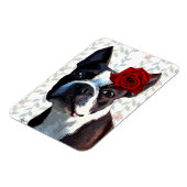 Boston Terrier met Roos op hoofd 2 Magneet (Linkerzijde)