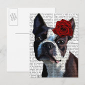 Boston Terrier met Roos op kop Briefkaart (Voorkant / Achterkant)