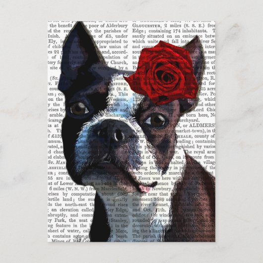 Boston Terrier met Roos op kop Briefkaart (Voorkant)