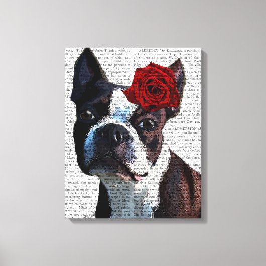 Boston Terrier met Roos op kop Canvas Afdruk (Voorkant)