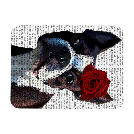 Boston Terrier met Roos op kop Magneet (Horizontaal)