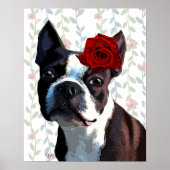 Boston Terrier met Roos op kop Poster (Voorkant)