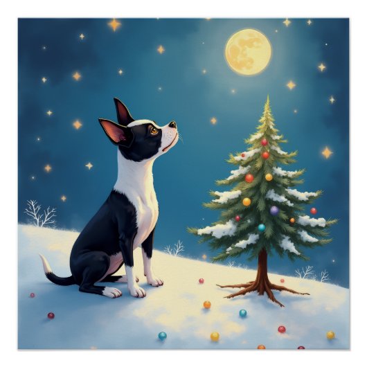 Boston Terrier Midnight Star-Gazing Christmas Perfect Poster (Voorkant)
