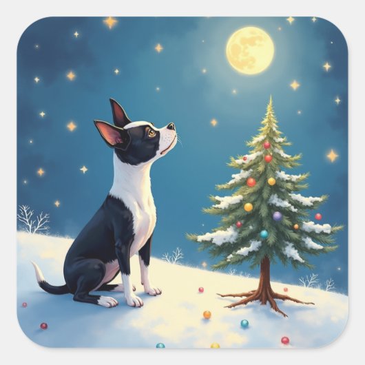 Boston Terrier Midnight Star-Gazing Christmas Vierkante Sticker (Voorkant)