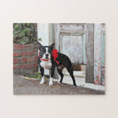 Boston Terrier - Miles Legpuzzel (Horizontaal)