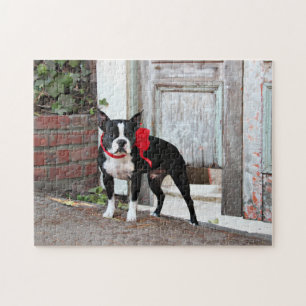 Boston Terrier - Miles Legpuzzel