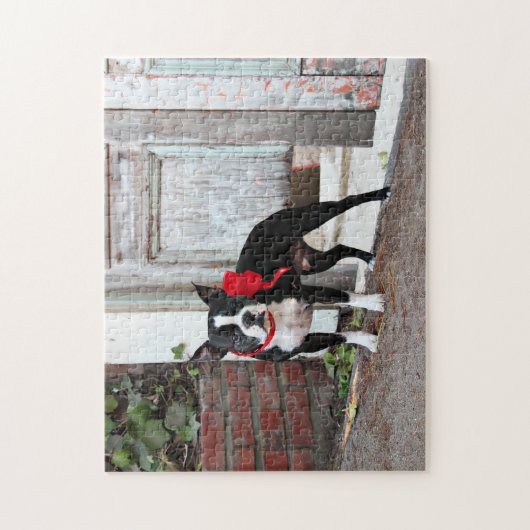 Boston Terrier - Miles Legpuzzel (Verticaal)