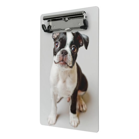 Boston Terrier Mini Klembord (Angled2)