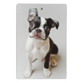 Boston Terrier Mini Klembord (Achterkant)