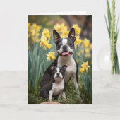 Boston Terrier Moeder Moederdag Liefde Kaart (Voorkant)