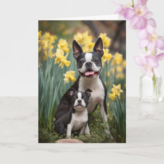Boston Terrier Moeder Moederdag Liefde Kaart (Orchidee)