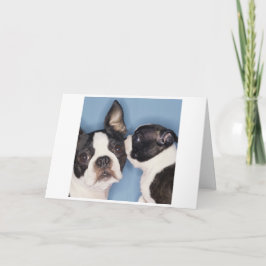 Boston Terrier Mother's Day Card Kaart
