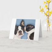 Boston Terrier Mother's Day Card Kaart (Gele Bloem)