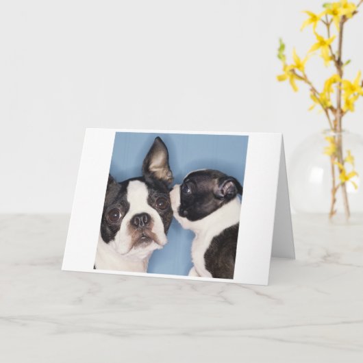 Boston Terrier Mother's Day Card Kaart (Gele Bloem)