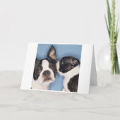 Boston Terrier Mother's Day Card Kaart (Voorkant)
