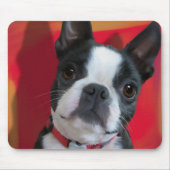 Boston Terrier Mousepad Muismat (Voorkant)
