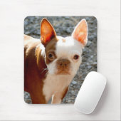 Boston Terrier Muismat (Met muis)