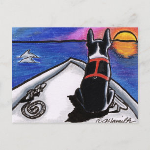 Boston Terrier Nautical Boat Sunset Off-Leash Art™ Briefkaart