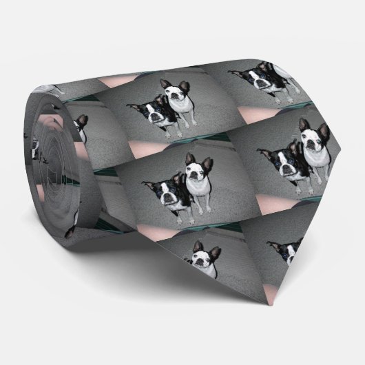 BOSTON TERRIER NECKTIE STROPDAS (Opgerold)