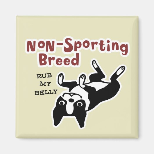 Boston Terrier "Non-Sporting Breed" Magneet (Voorkant)