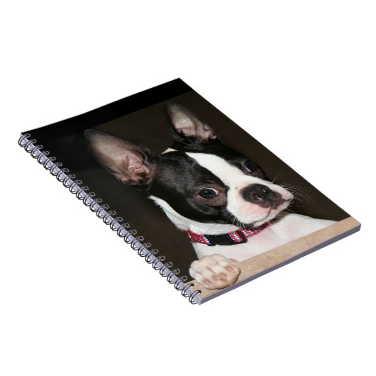 Boston Terrier Notitieboek (Rechterzijde)