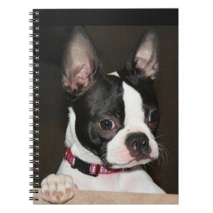 Boston Terrier Notitieboek