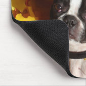 Boston Terrier Omringd door Fall Leaves Mousepad Muismat (Hoek)