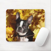 Boston Terrier Omringd door Fall Leaves Mousepad Muismat (Met muis)