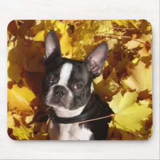 Boston Terrier Omringd door Fall Leaves Mousepad Muismat