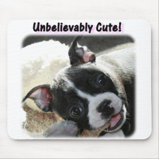Boston Terrier:  Ongelofelijk Cute! Muismat