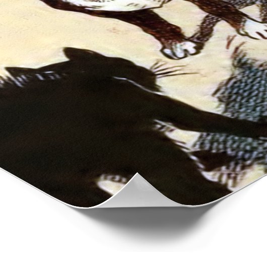 Boston Terrier ontmoet Cat Poster (Hoek)