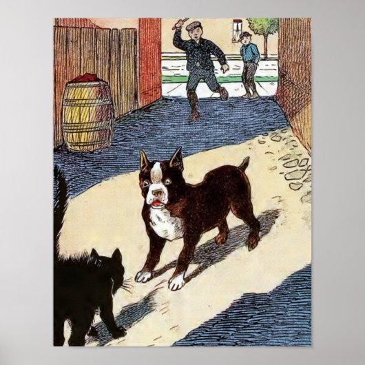 Boston Terrier ontmoet Cat Poster (Voorkant)
