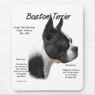 Boston Terrier ontmoet de Breed Muismat