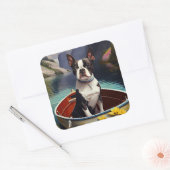 Boston Terrier op een peddel: Een Schilderachtig a Vierkante Sticker (Envelop)